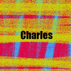 Charles_ MTG1