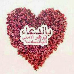 Mohamed Ismail