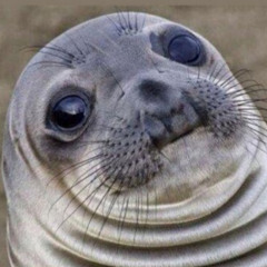 Omniboi365 A productions