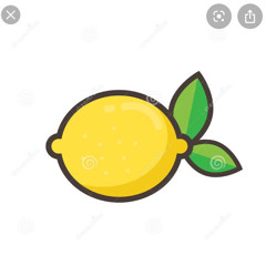 SG Lemon