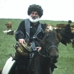 Василий Куролесов