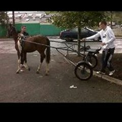 Darren Cawley