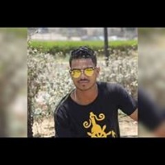 حمولي ابو اليل