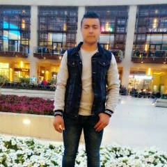 Muhammad El Daoly
