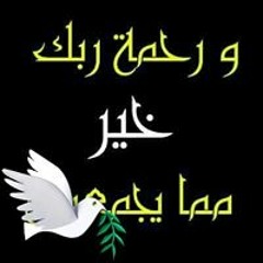 Amr Fouad Hashesh