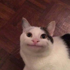 Felipe