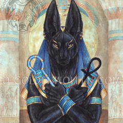 Anubis 23