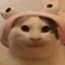 híp cute