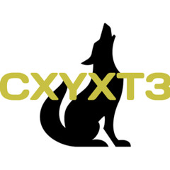 CXYXT3