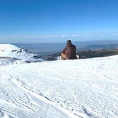 pepelu