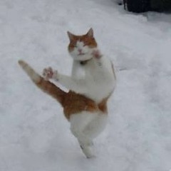 애용