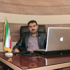 Mojtaba Hassani