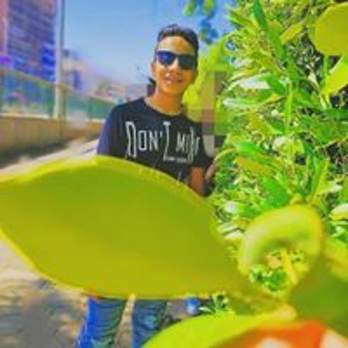 Mohamed Sayed’s avatar