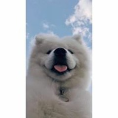 Trần Huyền Trang