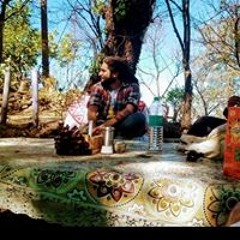 dance jungle
