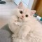 marim