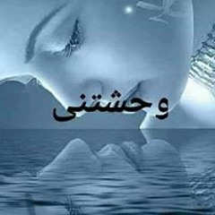 شهد احمد