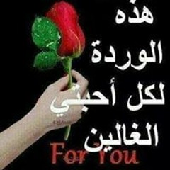 رضا علي