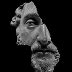 Stoic Patriot