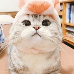 Stream ブルー ベイビー Music Listen To Songs Albums Playlists For Free On Soundcloud Stream ブルー ベイビー Music Listen To Songs Albums Playlists For Free On Soundcloud