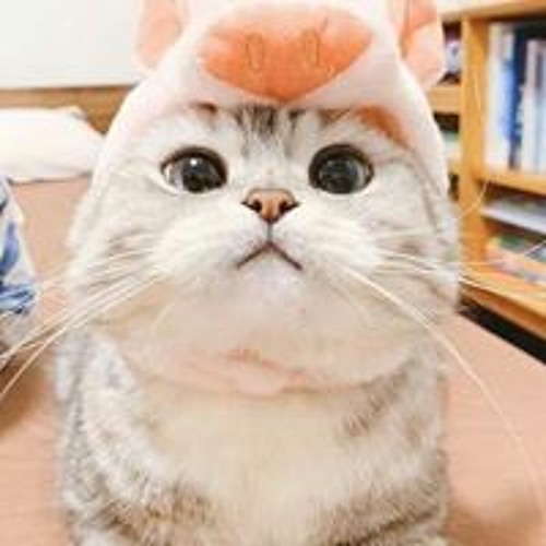 Stream ブルー ベイビー Music Listen To Songs Albums Playlists For Free On Soundcloud Stream ブルー ベイビー Music Listen To Songs Albums Playlists For Free On Soundcloud