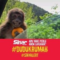 Jek Null