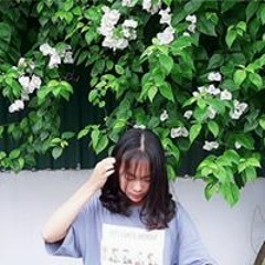 Thu Vu Thanh