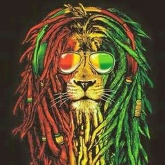 Rigg x.z
