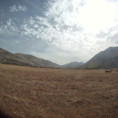 alfotati