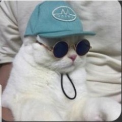 zhivs _