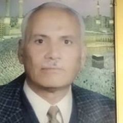 ام السيد النجار