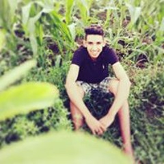 صلصا
