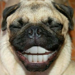 Kênh Nhạc Tuyển Chọn