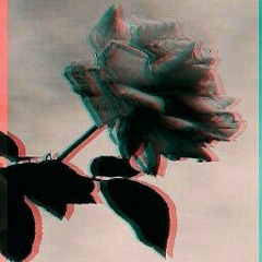 🤍~Chloe_42~💚