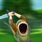 User 33501538