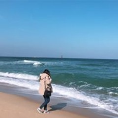비행기 ✈️