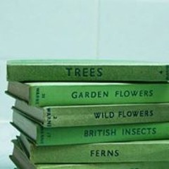 Perfect Score After Exam ༄ Listen Once ༄ ⚠️ POWERFUL ⚠️ subliminal