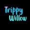 Trippy Willow