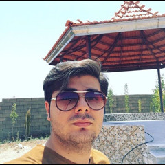mojtaba poorzad