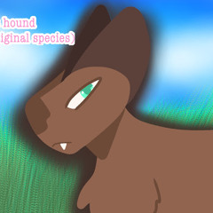 Bella Moonfire