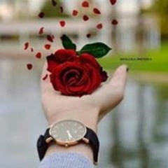 نور الحياه