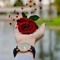 نور الحياه