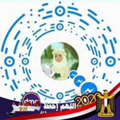Sara Emad Elhossainy