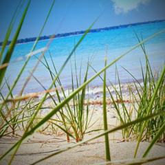 danny ladylockenlicht