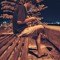 Muhmmad Amink
