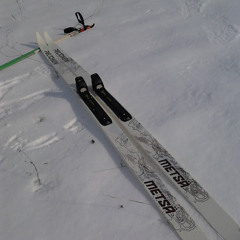 Дмитрий Куковский