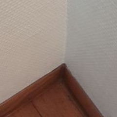 mistertee