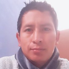 Luis Valer Vila