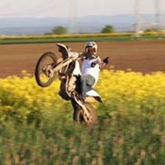 Luca Gries