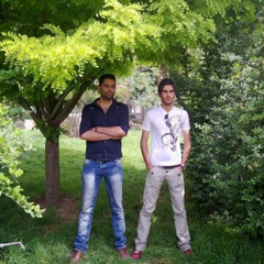 hamed torabi
